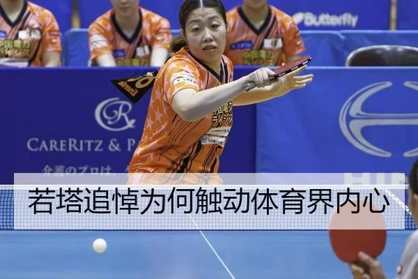 ruo-ta-zhui-dao-wei-he-chu-dong-ti-yu-jie-nei-xin-2-972.jpg